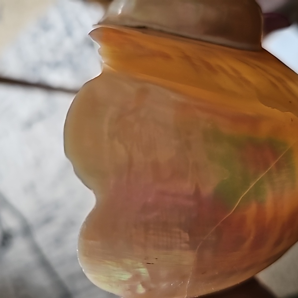 Trinket Abalone Shell - image 6